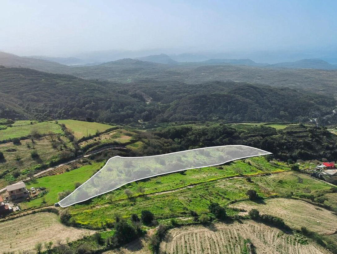 Land in Paphos